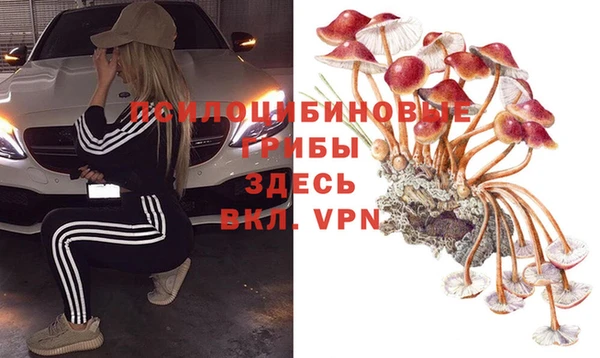 ALPHA-PVP Алексеевка