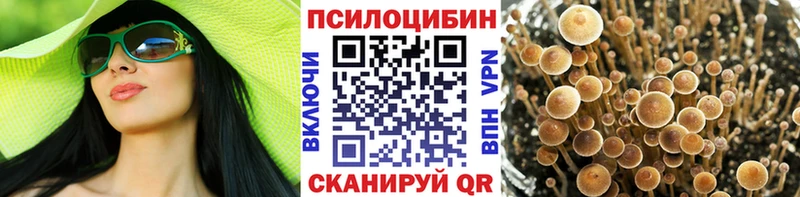 Псилоцибиновые грибы мухоморы ссылка на мегу как зайти Краснослободск